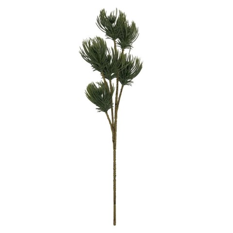 RAMO PINO BRAKEL VERDE SCURO H.45CM